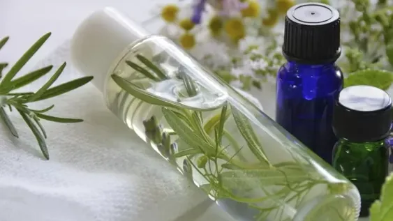 Agua de romero: los beneficios que aporta al cuidado del cabello y la piel