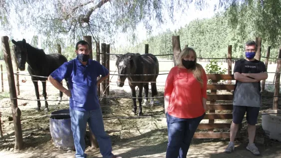 Un grupo que rescata caballos no lo hará más porque no tiene fondos