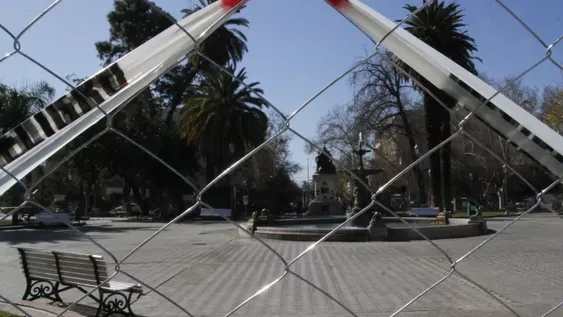 Aseguran que no talarán ningún árbol en las refacciones que harán en la Plaza 25