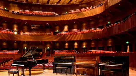 Diario de Cuyo | piano 728x462.webp