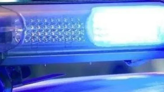 Investigan el hecho.