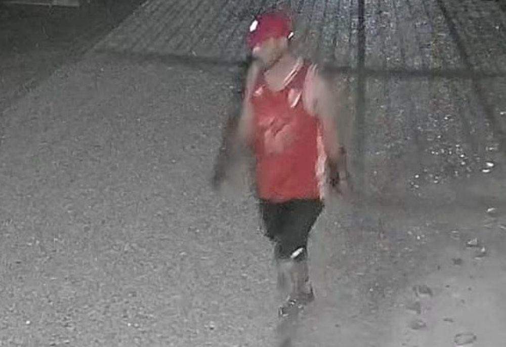 Vive en un barrio cerrado, robaron en su casa y los ladrones quedaron filmados