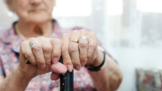 Una anciana de 82 años, internada luego de ser atacada y mordida por un asno