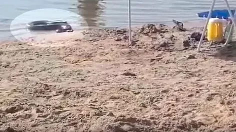 [VIDEO] Una “anaconda amarilla” apareció en una playa y causó pánico entre los turistas
