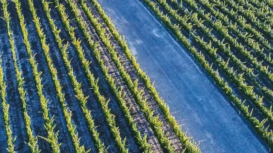 Bodegas admiten que no sacan provecho a un sistema que beneficia