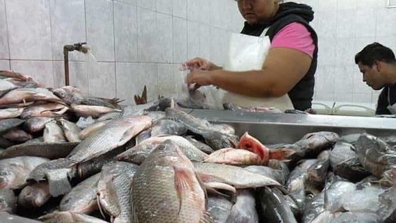 Antes de Semana Santa salen a controlar la venta de pescado: qué se debe tener en cuenta