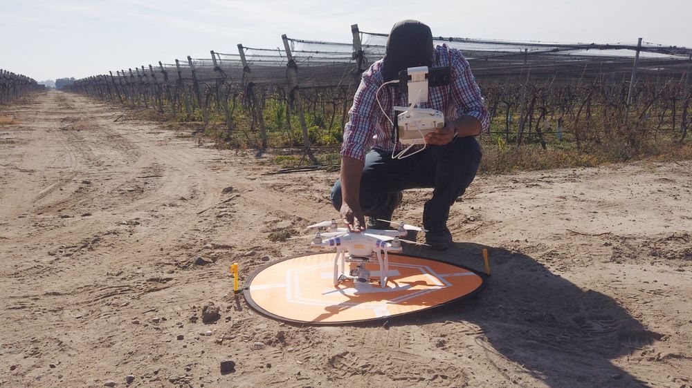 Tras la investigación académica, los investigadores crearon una startup que se dedica a hacer los estudios en fincas. 