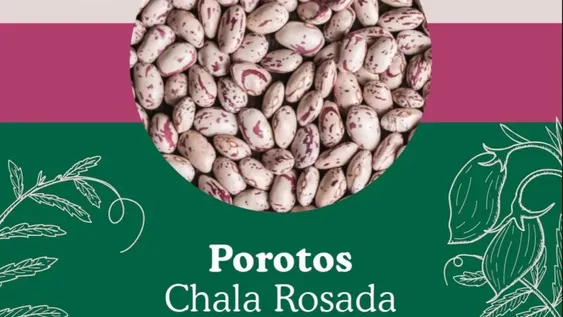 La Cooperativa El Porvenir y sus numerosas cosechas