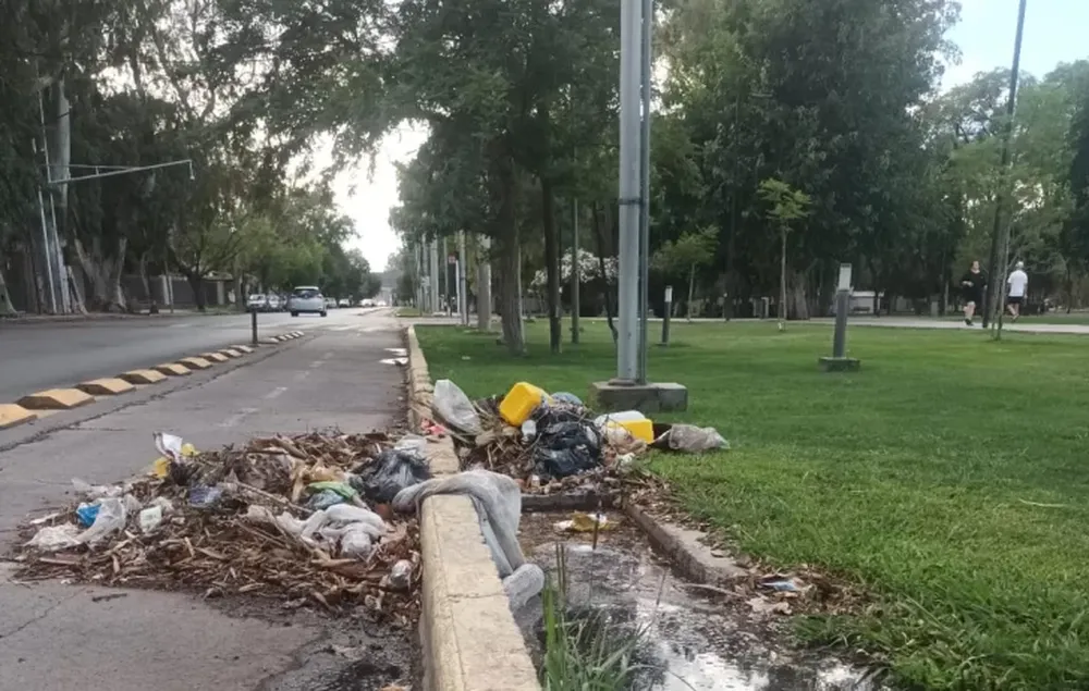 Una montaña de residuos en acequias del Parque