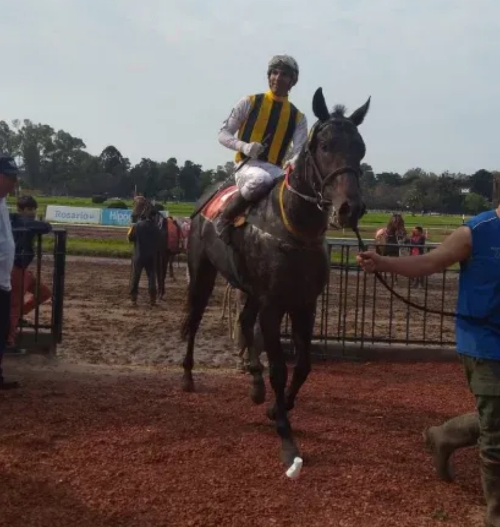 Saliendo de la pista del Hip&oacute;dromo de Rosario tras un triunfo.