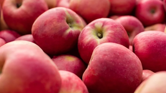 Los consejos de alimentación saludable para fortalecer el sistema inmunológico