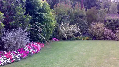 Diario de Cuyo | apertura_crop1618114472187 728x548.webp