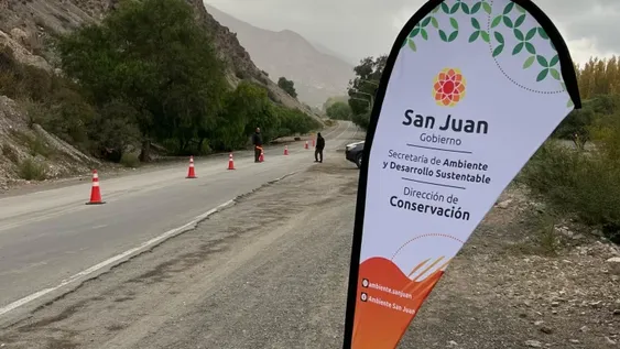 PELIGRO. En las rutas 40, 20 y 510 ocurre la mayor cantidad de casos de atropellamiento de fauna silvestre.