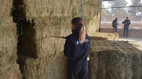 Alfalfa: Inauguraron Nodo Logístico Ferroviario