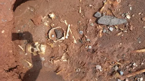 Hallaron un cráneo humano y huesos en Marayes: quedaron al descubierto tras la creciente del río