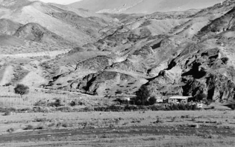 El pequeño sobreviviente