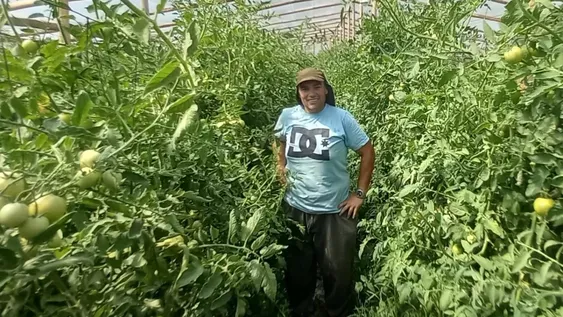 5.000 hectárea de horticultura cultiva San Juan desde el 2001