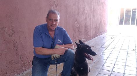 Roberto Bastianelli es un conocido conductista canino de San Juan y opinó sobre las llamadas razas peligrosas.&nbsp;