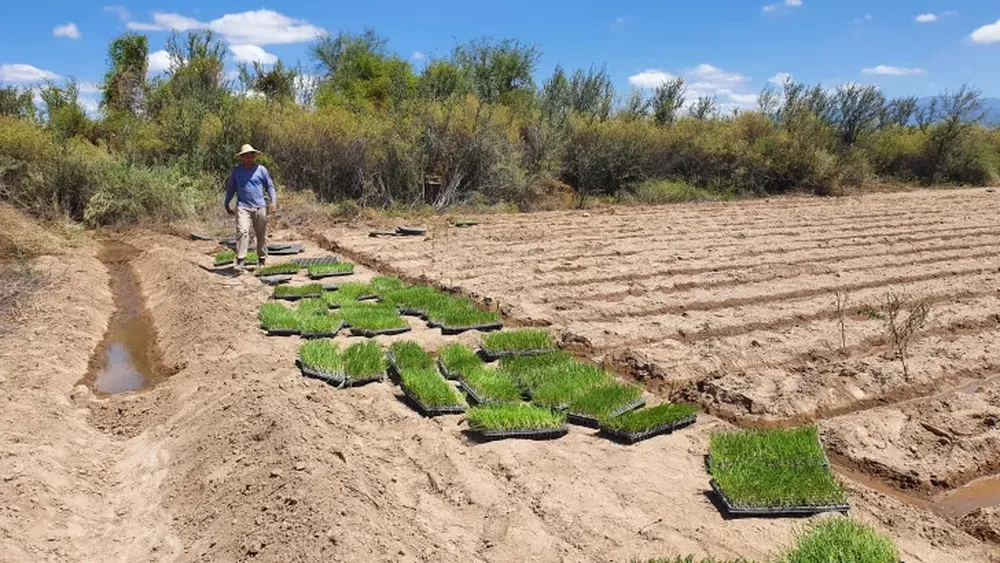 Aplauso para los agricultores