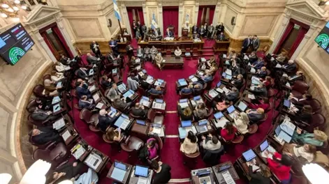 El Senado rechazó el veto de Milei y reinstauró la ley de emergencia en discapacidad