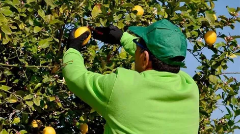La Uatre obtuvo otro 17% de aumento, con lo que la mejora interanual total es de 104%