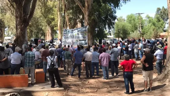 Los viñateros están en estado de alerta y movilización