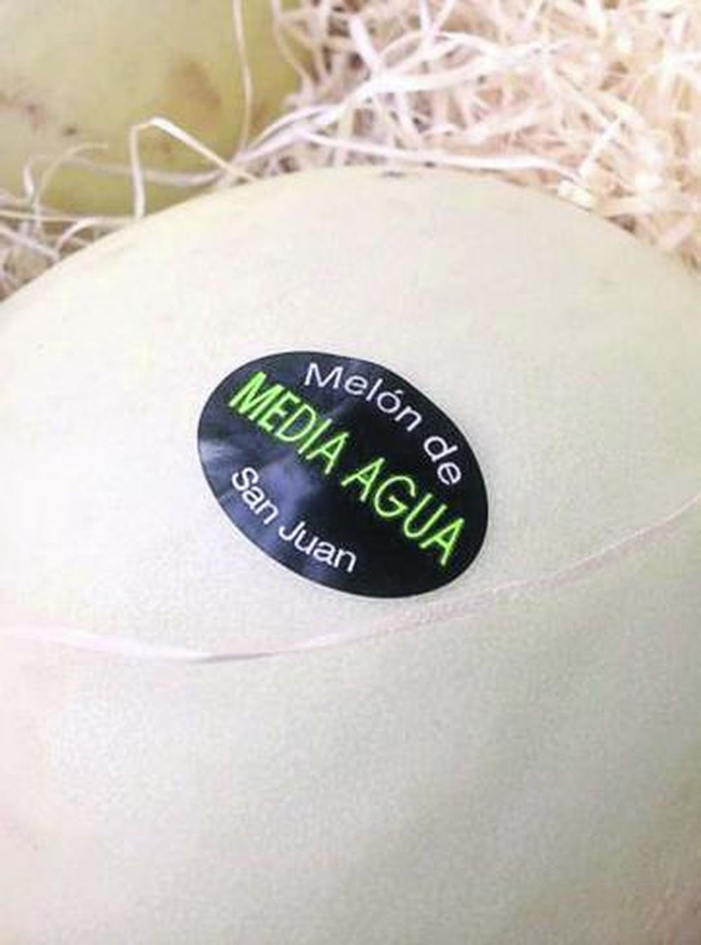 Melón de Media Agua-San Juan en la Fiesta Nacional del Sol