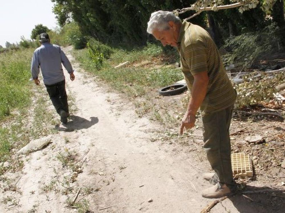 No hubo nuevas denuncias por el supuesto puma de Pocito y sigue el misterio