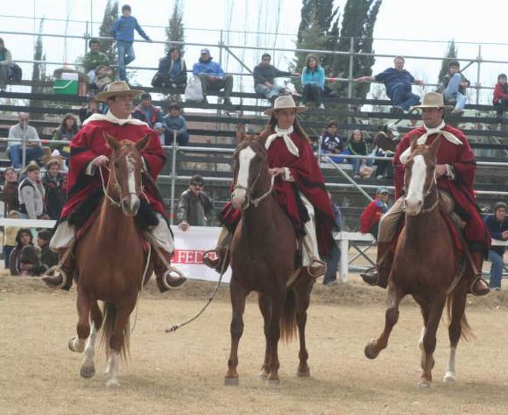 Caballos peruanos: este año, récord de foráneos