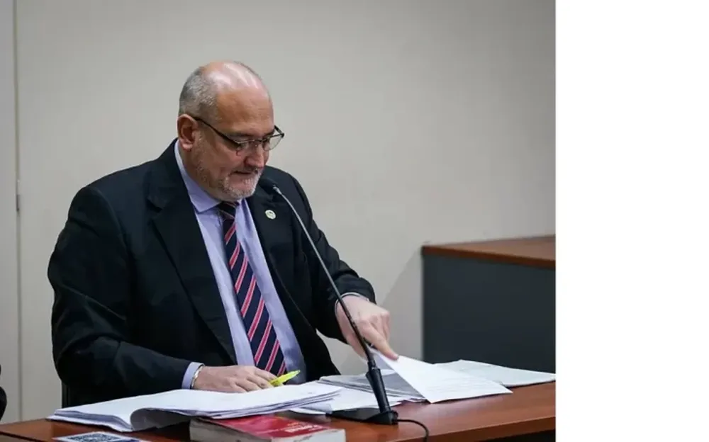 El fiscal coordinador de la UFI de Delitos Especiales, Francisco Micheltorena, justificó porqué pedirá que la médica vaya presa.