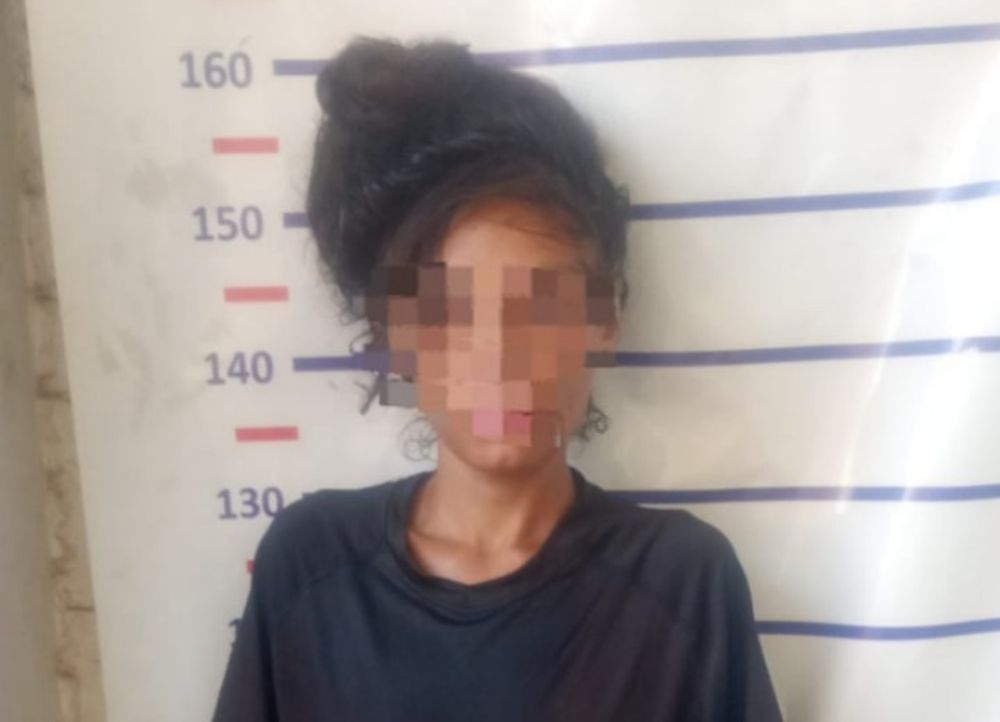 Detuvieron a una mujer por robar un celular del interior de un auto