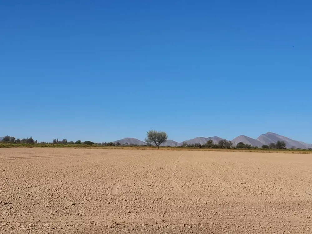 Esfuerzo y dedicación