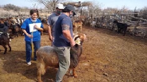Universidades, aliadas del Papa en poner en marcha Laudato si