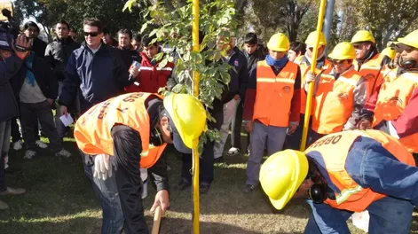 Presentaron el programa estratégico de arbolado público San Juan 2020