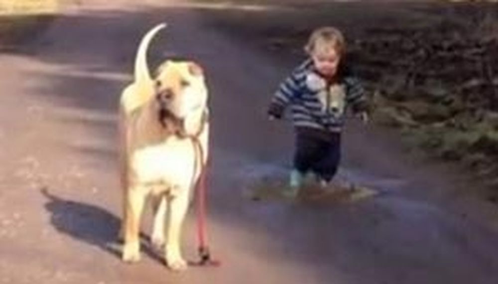 Grandes amigos
