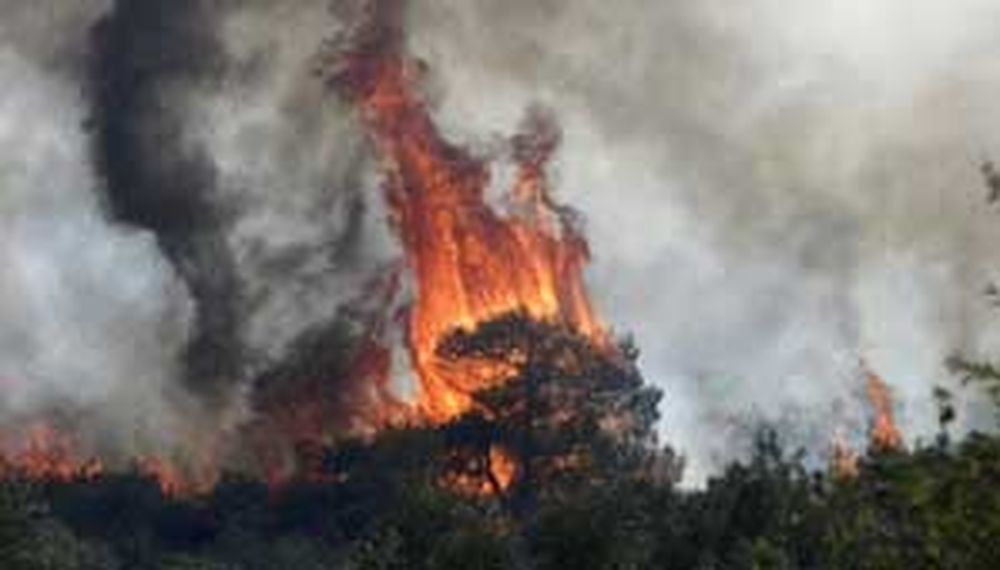 Feroz incendio en Grecia