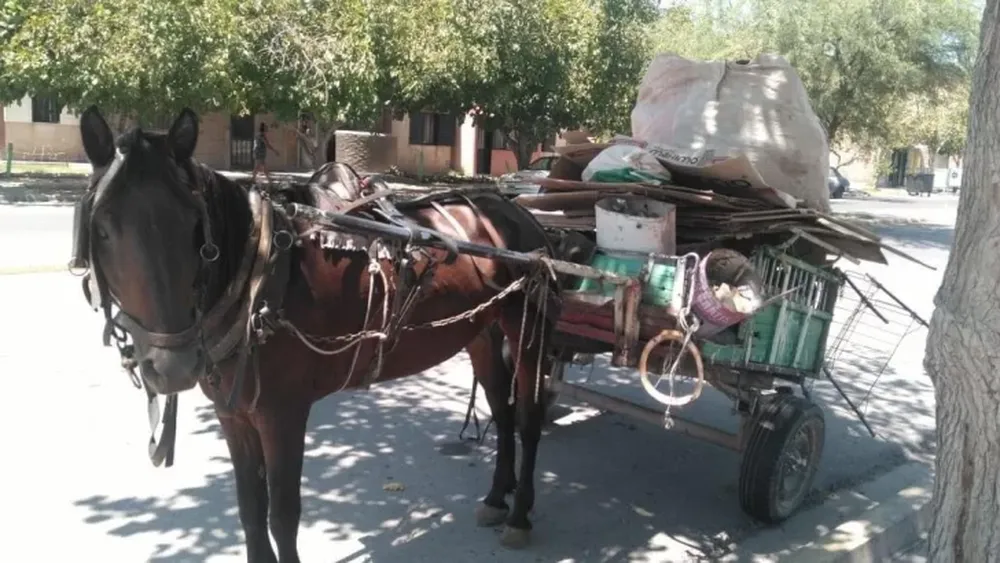 Un chico de 13 años cayó de una carretela y sufrió fuertes golpes