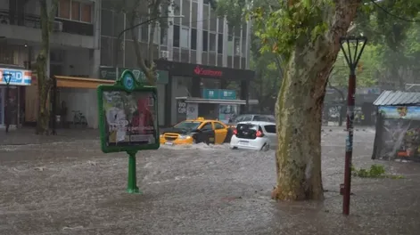 Una fuerte tormenta de lluvia, granizo y viento causó serios daños en varios departamentos de Mendoza