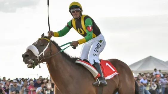 Macklin rompió los pronósticos