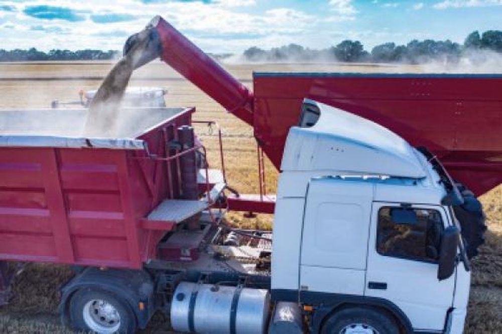 Un paro pone en jaque la distribución de granos
