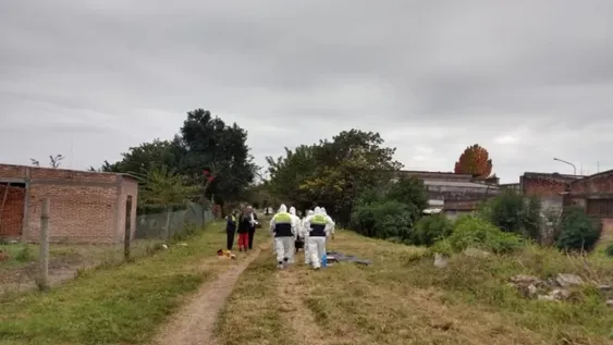 Matan a dos mujeres en Santa Fe y Tucumán: más de 40 femicidios durante el aislamiento