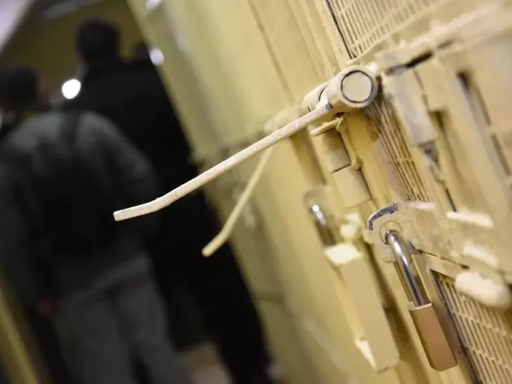 Treparon un árbol para escapar de un robo, pero la Policía lo atrapó