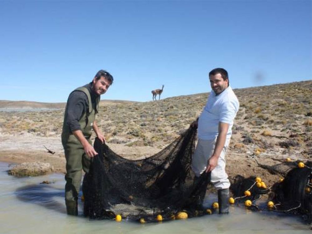La hora de las Truchas Mineras