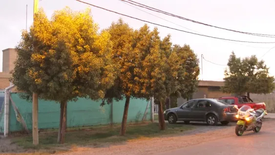 Entran a la casa de empleado judicial, atan a él y a su hijo, los golpean y roban de todo