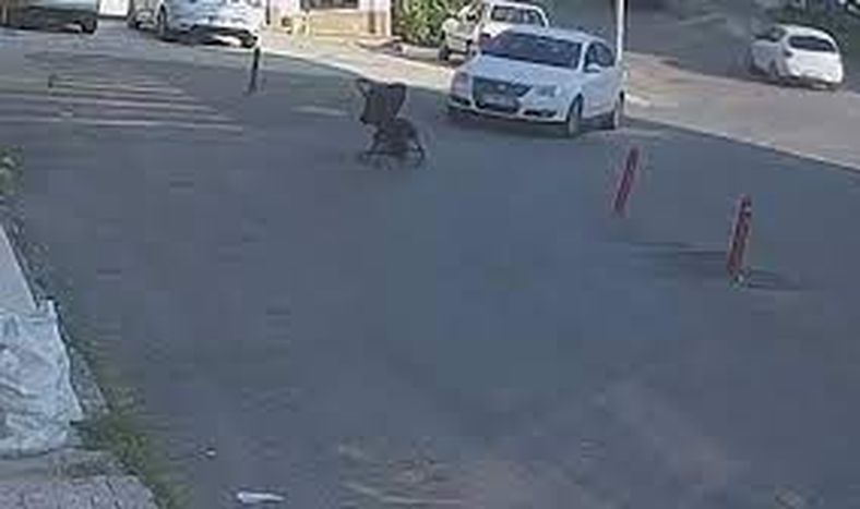 Dejó el cochecito con su bebé en la calle y cayó por un barranco