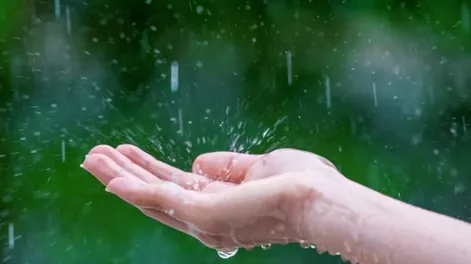 El “olor a lluvia” ¿Mito o realidad?