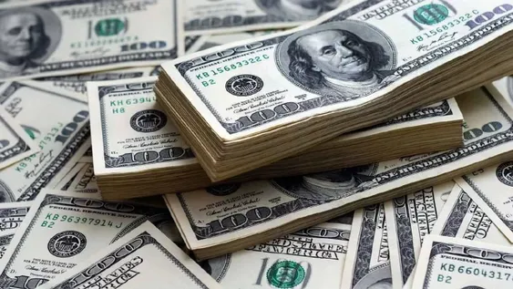 El dólar cerró enero en $19,93, la cotización más alta desde la salida de la convertibilidad