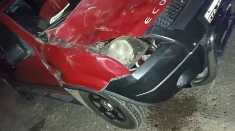 Volvían a San Juan desde Mendoza y se les atravesaron cinco caballos: chocó a uno y se salvaron de milagro