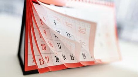 Feriados 2020: conocé el calendario completo