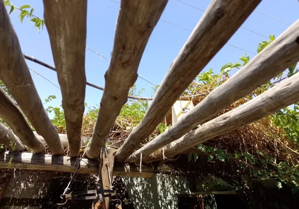 Tenía 67 años y murió al electrocutarse en su fondo mientras podaba una enredadera